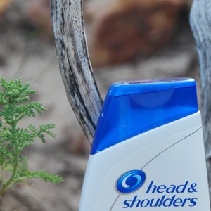 â€œKop-en-Skouersâ€ deur Yvonne Joubert 